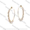 earrings-hoops-18.jpg-image